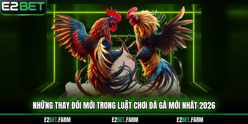 Những thay đổi mới trong luật chơi đá gà mới nhất 2026