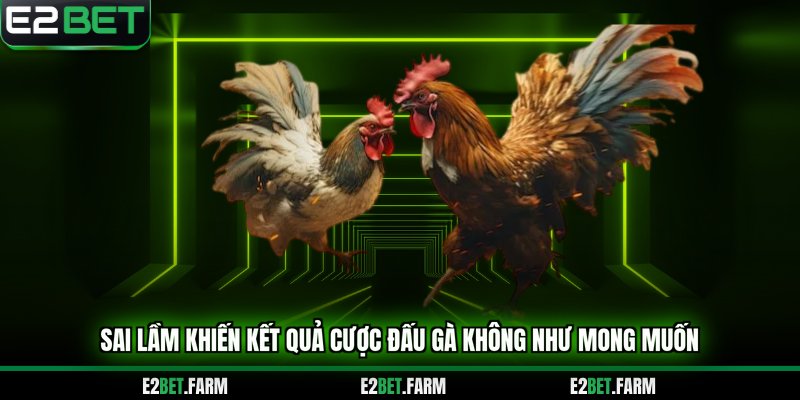 Sai lầm khiến kết quả cược đấu gà không như mong muốn