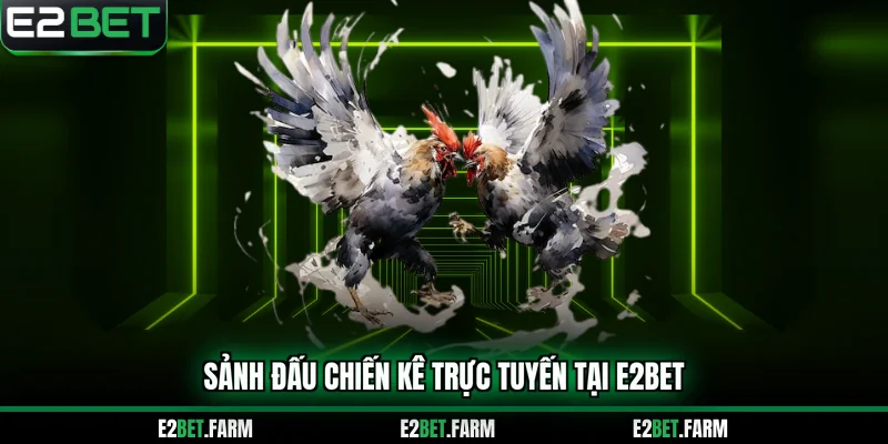 Sảnh đấu chiến kê trực tuyến tại E2BET